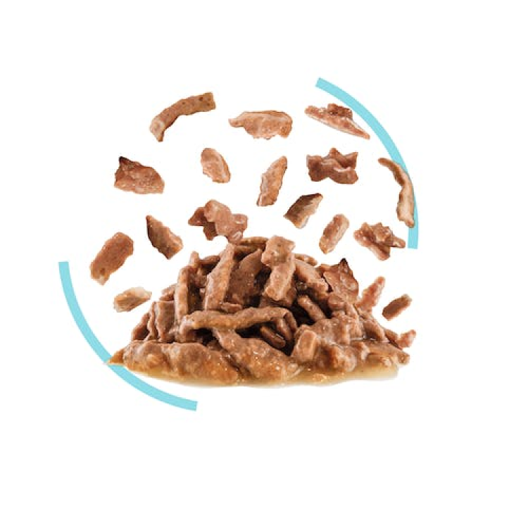 Royal Canin Feline Health Nutrition Sensory Feel Gravy Cat Wet Food 85G - Pack of 12