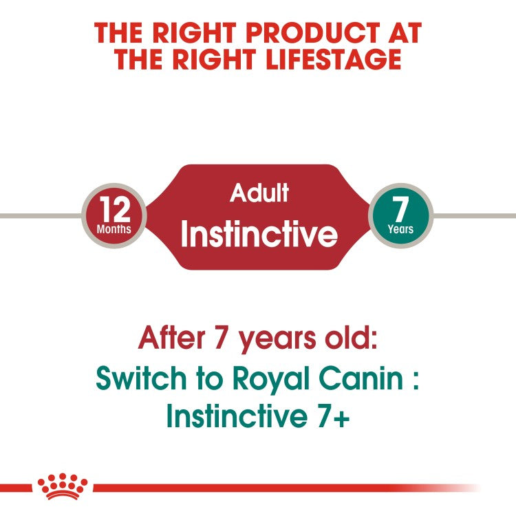 Royal Canin Feline Health Nutrition Instinctive Adult Cats Jelly (Wet Food - Pouches) 12 x 85 g - Pack of 12