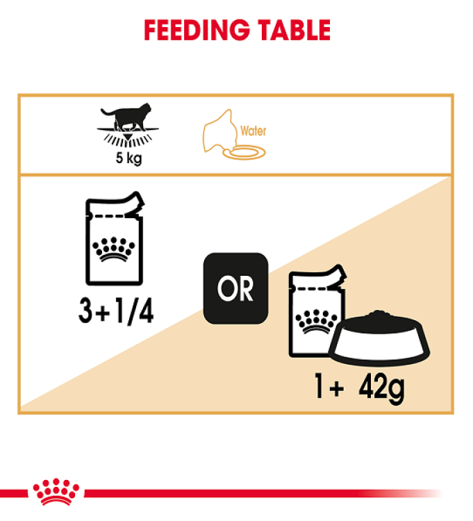 Royal Canin Feline Breed Nutrition British Shorthair (WET FOOD - Pouches) 12 x 85g - Pack of 12