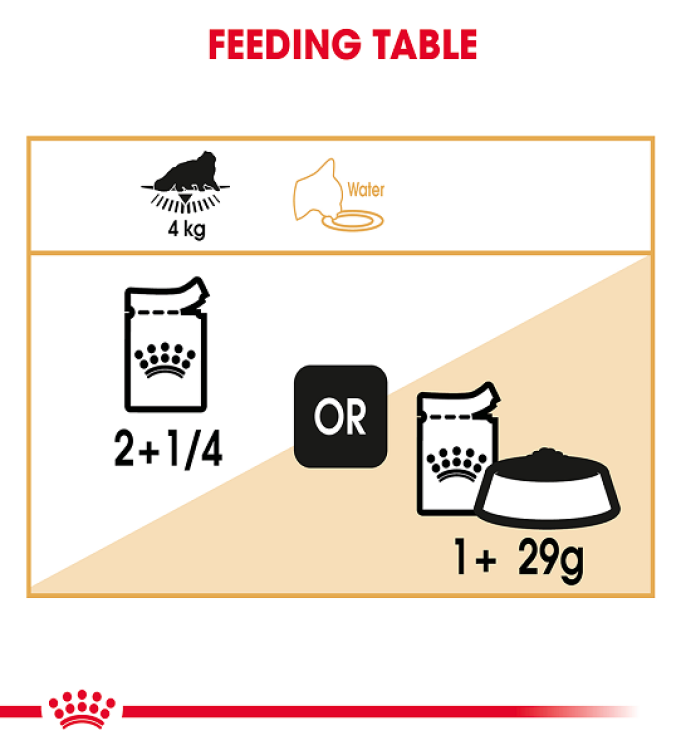 Royal Canin Feline Breed Nutrition Persian (Wet Food - Pouches) 12 x 85 g - Pack of 12