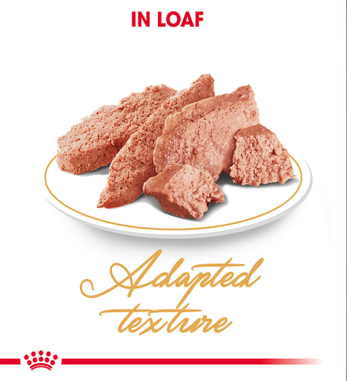 Royal Canin Feline Breed Nutrition Persian (Wet Food - Pouches) 12 x 85 g - Pack of 12