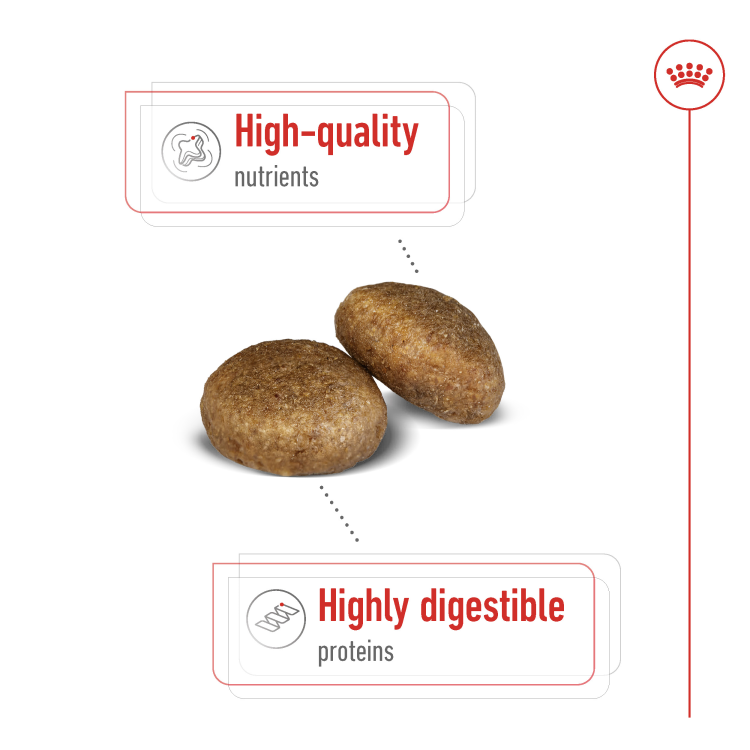 Royal Canin Size Health Nutrition Maxi Adult (15+3 kg) - 18kg VALUE PACK