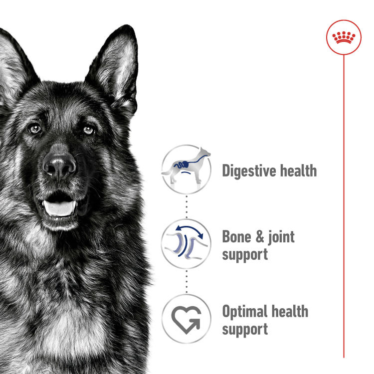 Royal Canin Size Health Nutrition Maxi Adult (15+3 kg) - 18kg VALUE PACK