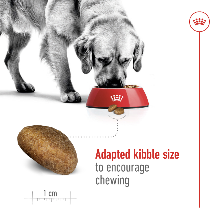 Royal Canin Size Health Nutrition Maxi Adult (15+3 kg) - 18kg VALUE PACK