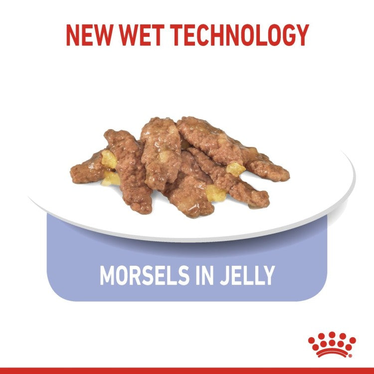 Royal Canin Indoor Sterilised In Jelly Adult Cat Wet Food - Pack of 12