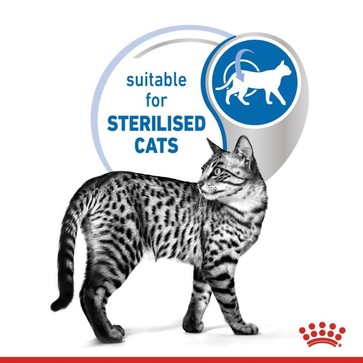 Royal Canin Indoor Sterilised In Jelly Adult Cat Wet Food - Pack of 12