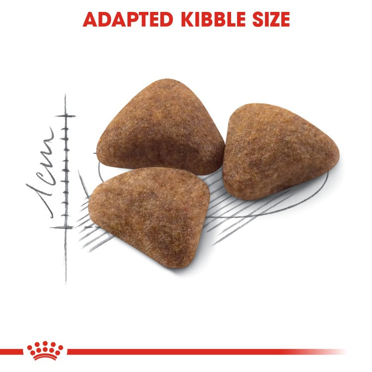 Royal Canin Home Life Indoor 27 Adult Dry Cat Food 400g