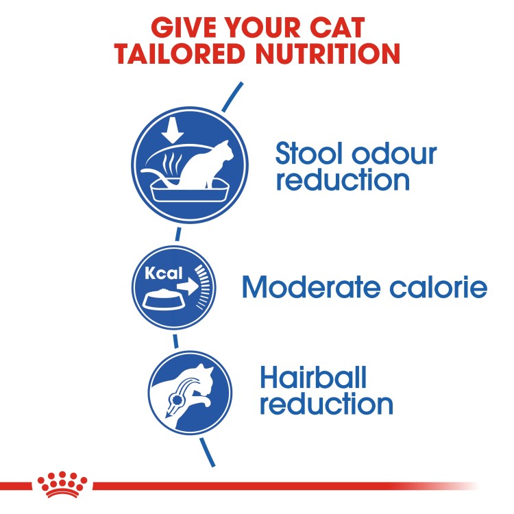 Royal Canin Home Life Indoor 27 Adult Dry Cat Food 10 kg