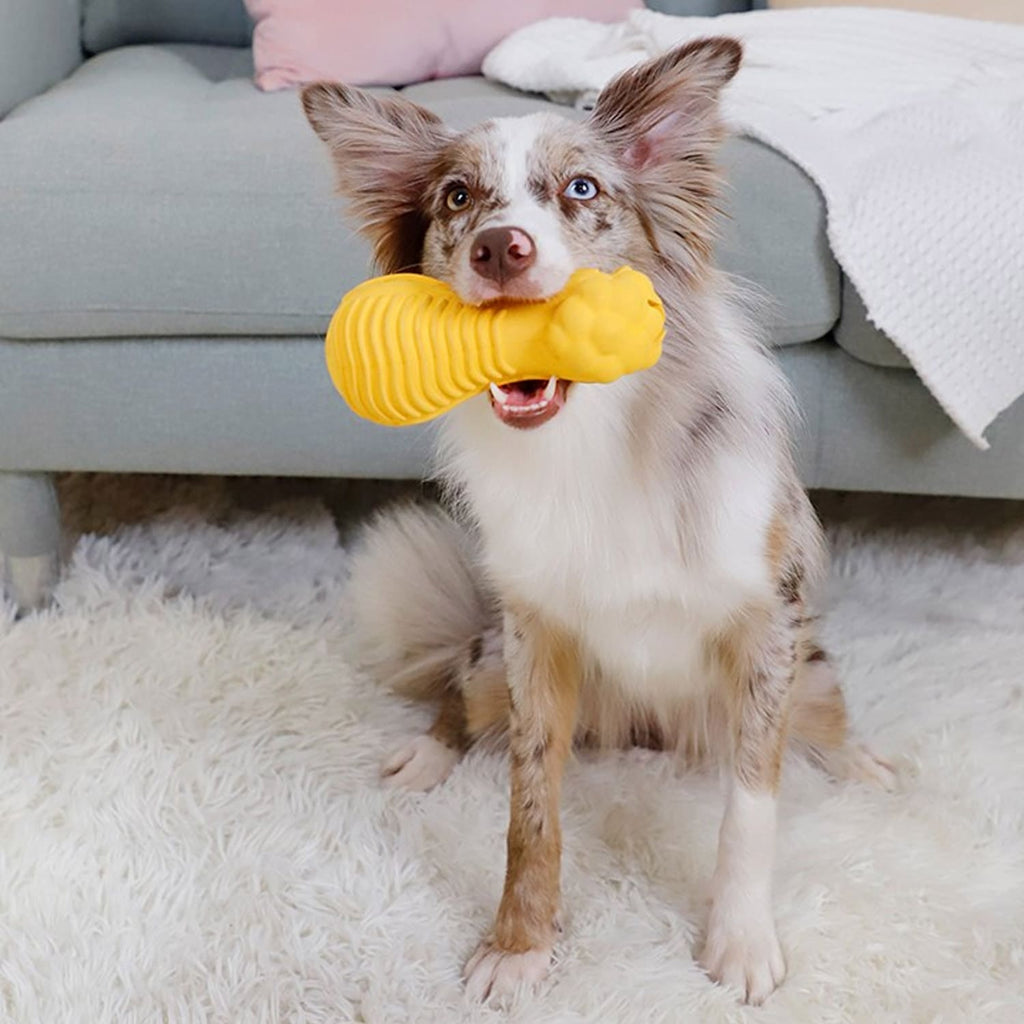 GiGwi DUMBBELL HEADS Lion  Squeak and stuffable