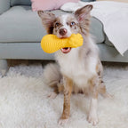 GiGwi DUMBBELL HEADS Lion  Squeak and stuffable