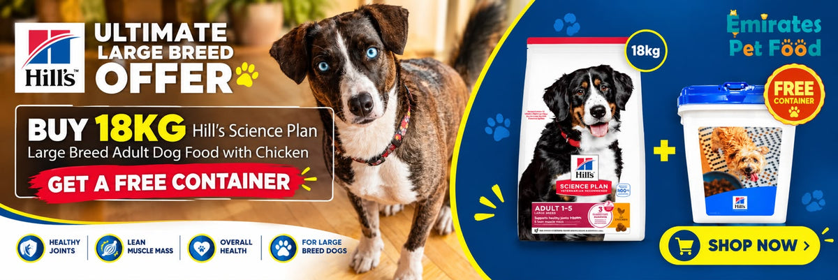 Hill's Science Plan Large Breed Adult dog food with chicken — buy the 18kg bag and get a free container