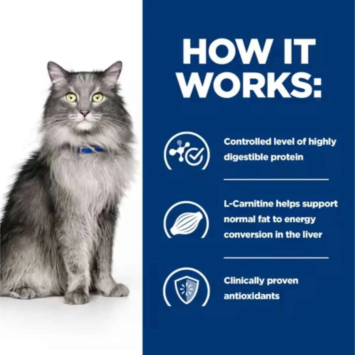 Hill's Prescription Diet l/d Liver Care Dry Cat Food with Chicken (1.5 kg) — Near expiry, best before 25/09/2026
