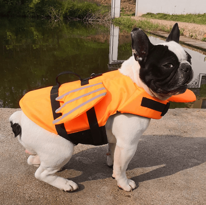 Pets Club Dog Life Vest With Angel Wings