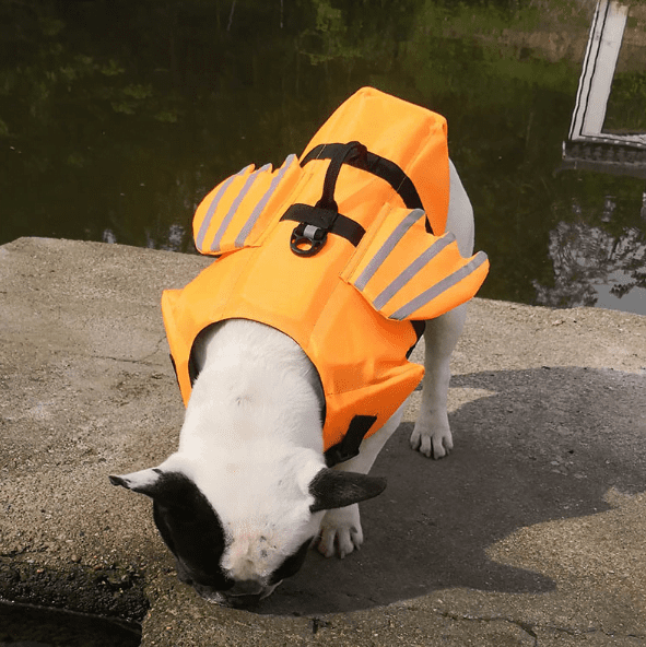 Pets Club Dog Life Vest With Angel Wings