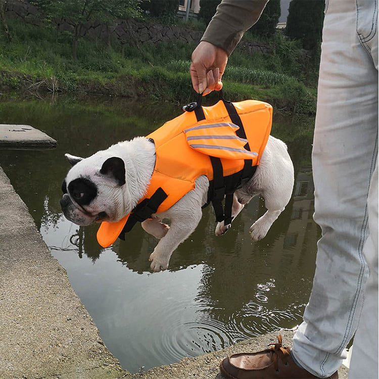 Pets Club Dog Life Vest With Angel Wings