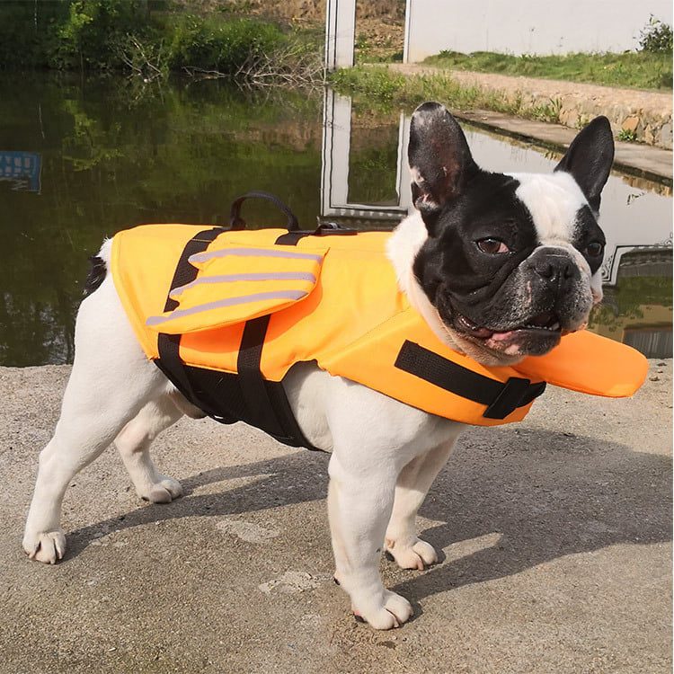 Pets Club Dog Life Vest With Angel Wings
