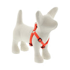 Small Dog Basics Step In Harness 1/2Inch