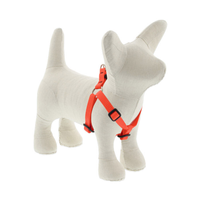 Small Dog Basics Step In Harness 1/2Inch