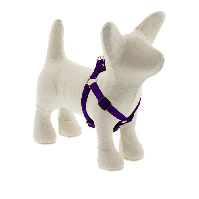Small Dog Basics Step In Harness 1/2Inch