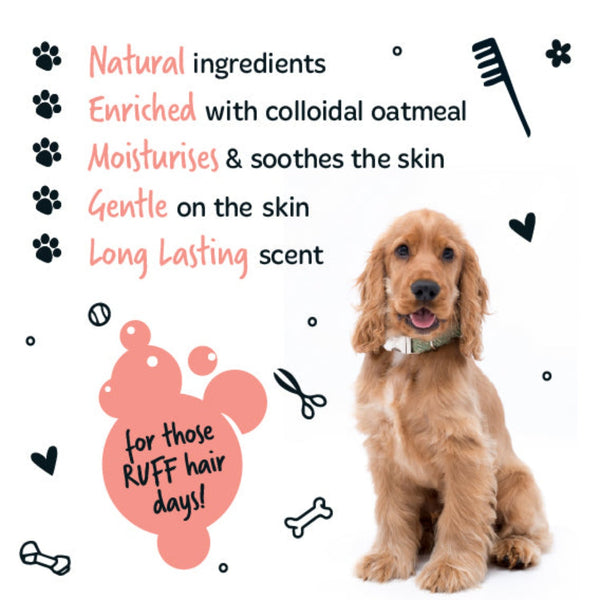 Bugalugs 2in1 Papaya & Coconut Cat Shampoo & Conditioner - 500ML