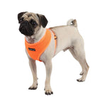 Puppia Neon Soft Harness-Medium