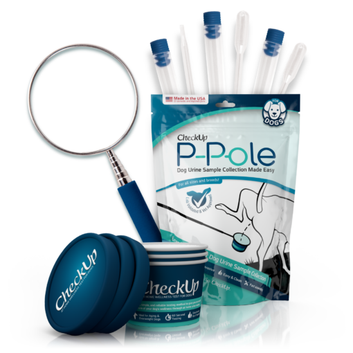 The P-Pole