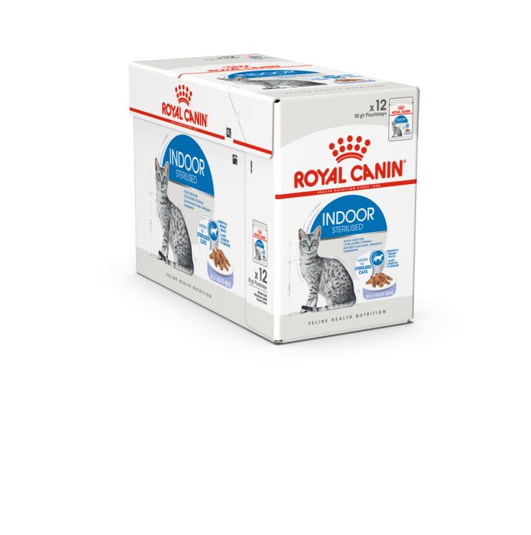 Royal Canin Indoor Sterilised In Jelly Adult Cat Wet Food - Pack of 12