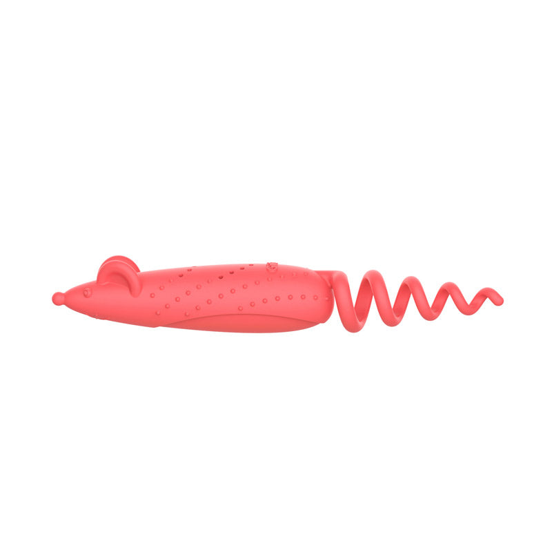 Roll Tailed Mouse