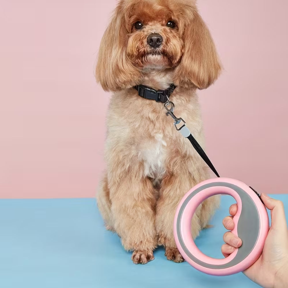 Cozy Paws Retractable Dog Leash With Circular Ring- 2.5m (Pink)