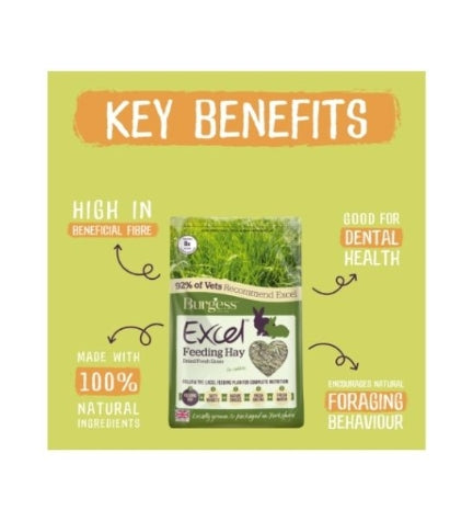 Burgess Excel Fresh Forage Feeding Hay for Small Pets