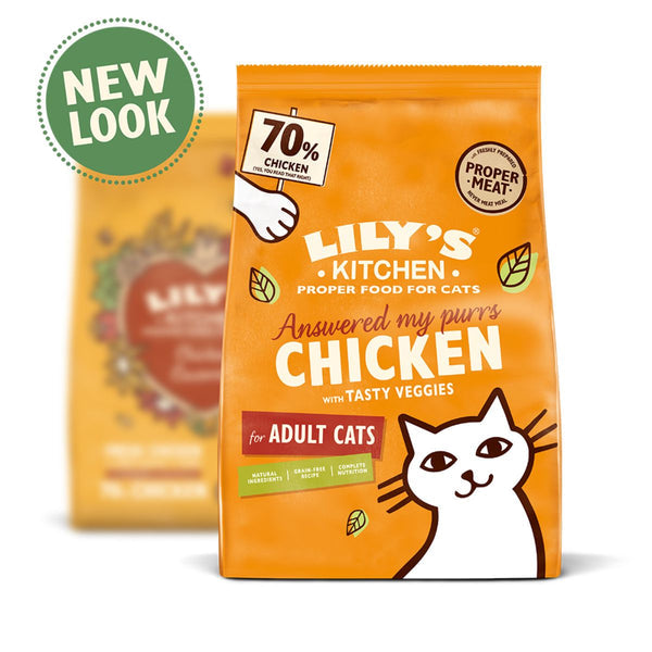 Lily's Kitchen Chicken Casserole Dry Cat Food