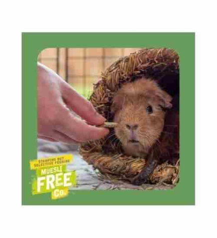 Burgess Excel Herby Hearts Small Pet Treats 60G