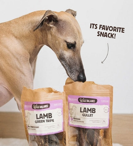 Wild Balance Natural Snack Lamb Gullet for Dogs 50G