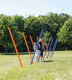Trixie Dog Activity Agility Slalom Poles for Dogs