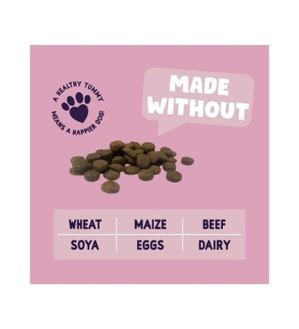 Burgess Sensitive Adult Salmon Dry Dog Food