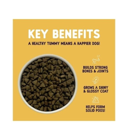 Burgess Sensitive Adult Turkey Dry Dog Food