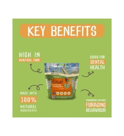 Burgess Excel Long Stem Feeding Hay for Small Pets