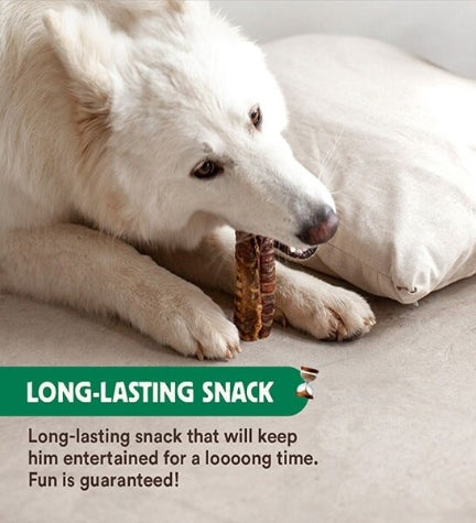 Wild Balance Natural Snack Beef Trachea for Dogs 100G