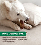 Wild Balance Natural Snack Beef Trachea for Dogs 100G