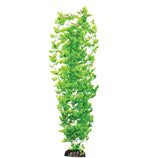 Hugo Kamishi Ranunculus Tall Aquarium Plant Decor