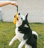 ebi Bite Me 'Crack Me Up' Stick Sensory Dog Toy