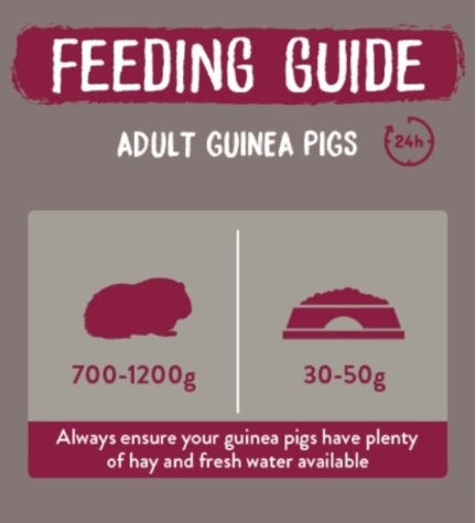 Burgess Excel Indoor Guinea Pig Nuggets