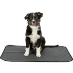 Trixie Nappy Wash Hygiene Pad for Dogs