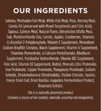 Instinct Original Grain Free Salmon Dry Cat Food