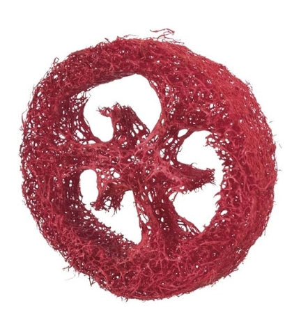 Trixie Set of Loofah Discs Small Pet Toy