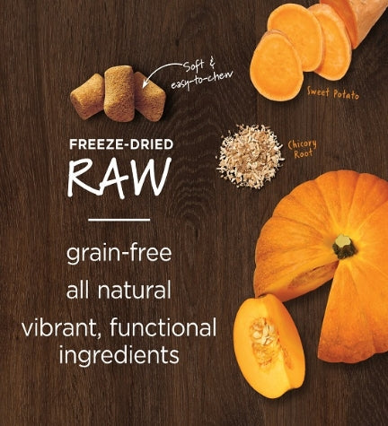 Instinct Raw Boost Mixers Gut Health Freeze Dried Chicken Dog Food Topper