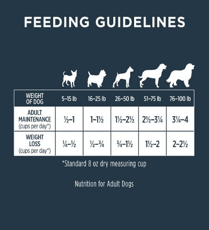 Instinct Raw Boost Kibble Chicken Gut Health Dog Dry Food