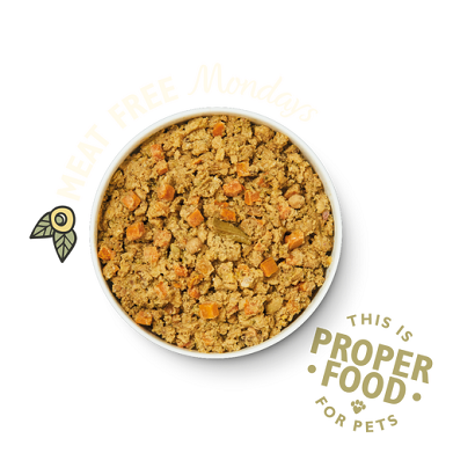 Lily's Kitchen Wholesome Veggie Feast Wet Dog Food 375G