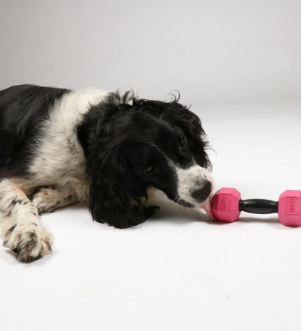 ebi Bite Me 'For the Gainz' Dumbbell Dog Toy