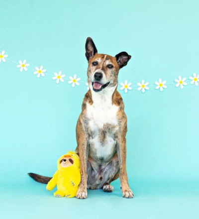 Petshop by Fringe Studio Chicks Dig It Plush Dog Toy YELLOW 30X15CM